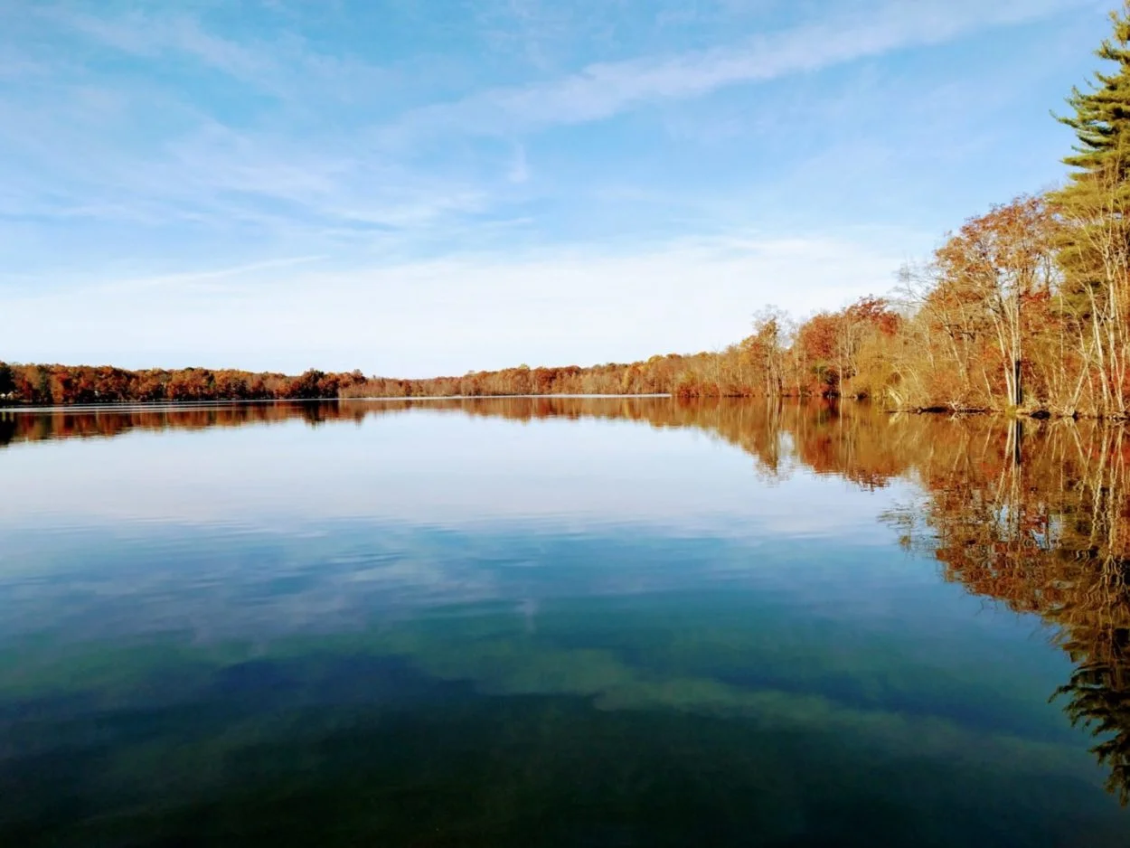 Franklin-Lakes-nature-presence-in-Wyckoff-NJ